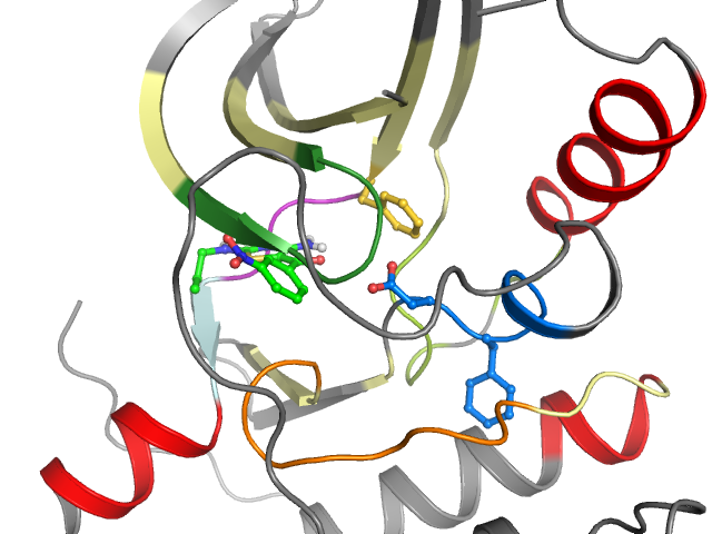 The orthosteric binding pocket