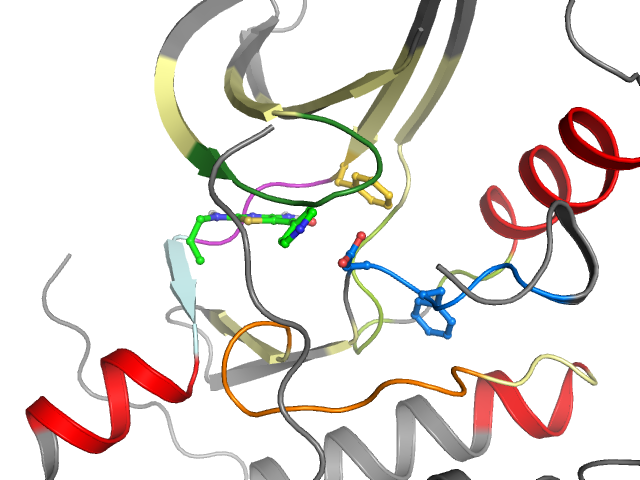 The orthosteric binding pocket