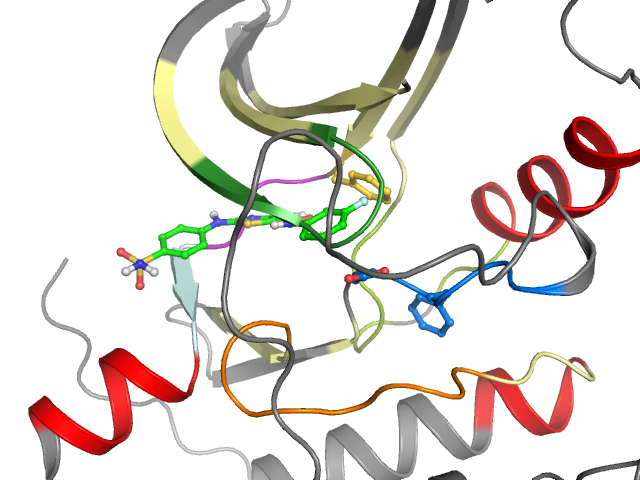 The orthosteric binding pocket