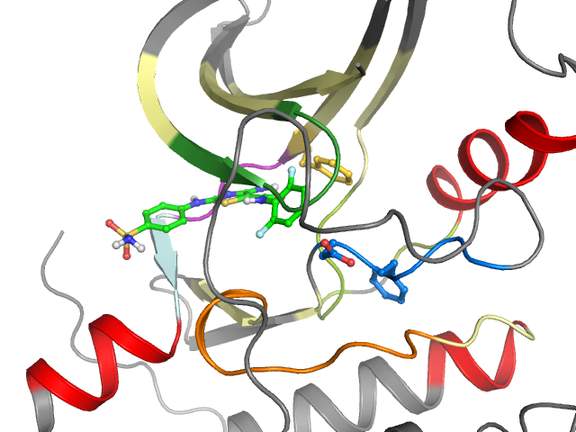 The orthosteric binding pocket