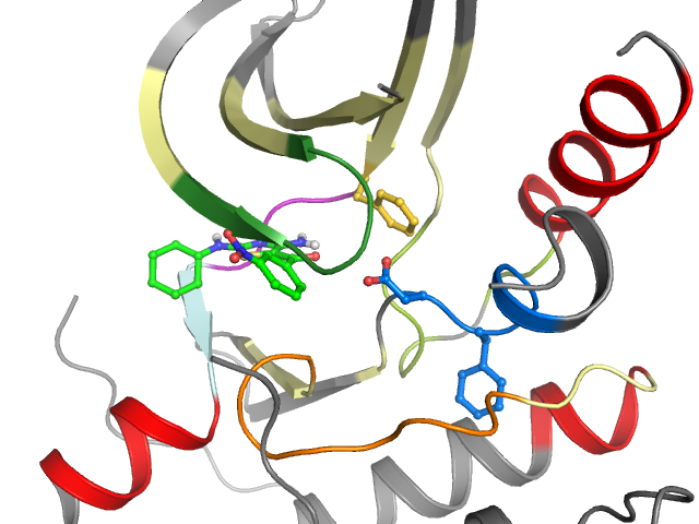 The orthosteric binding pocket