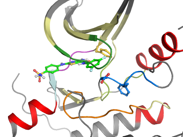 The orthosteric binding pocket