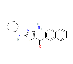 2D structure of the orthosteric ligand