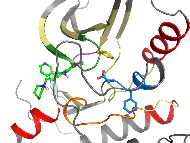 The orthosteric binding pocket