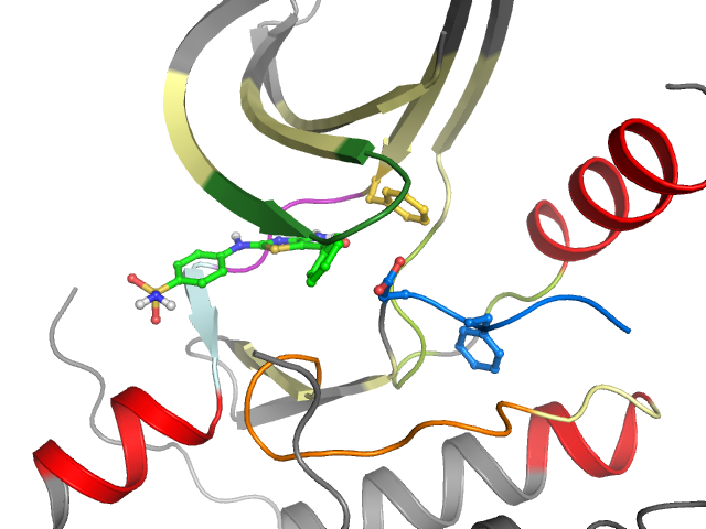 The orthosteric binding pocket