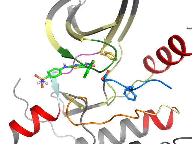 The orthosteric binding pocket