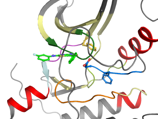 The orthosteric binding pocket