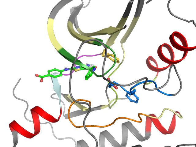 The orthosteric binding pocket