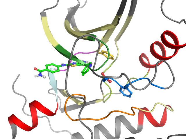 The orthosteric binding pocket