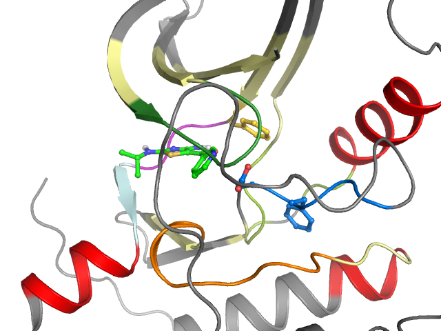 The orthosteric binding pocket
