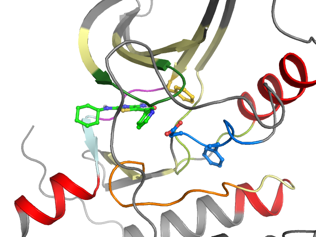 The orthosteric binding pocket