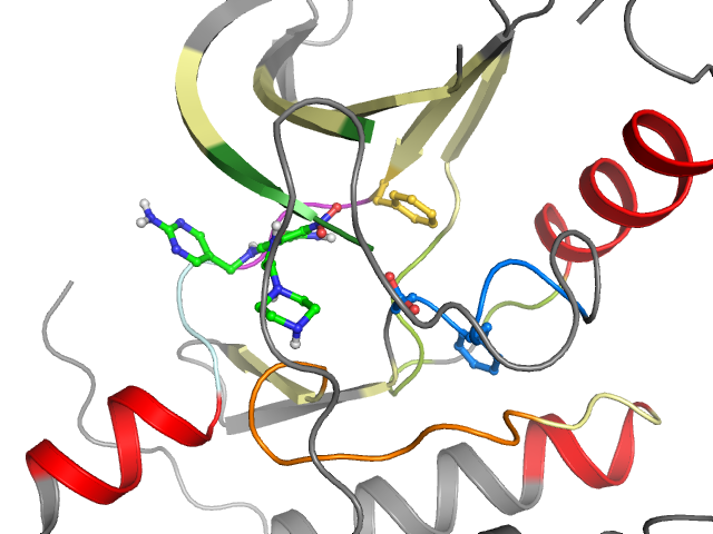 The orthosteric binding pocket