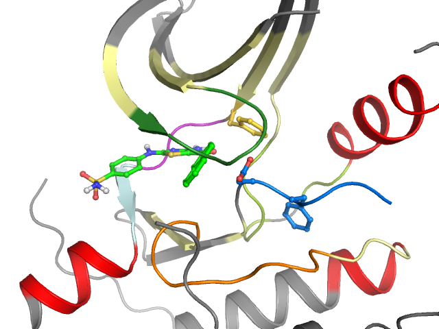 The orthosteric binding pocket
