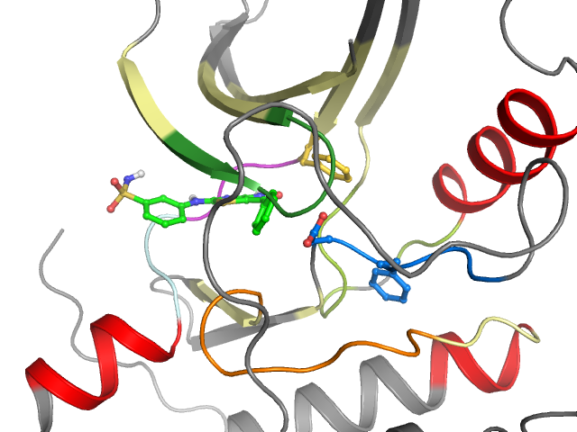 The orthosteric binding pocket
