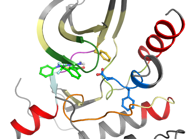 The orthosteric binding pocket