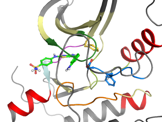 The orthosteric binding pocket