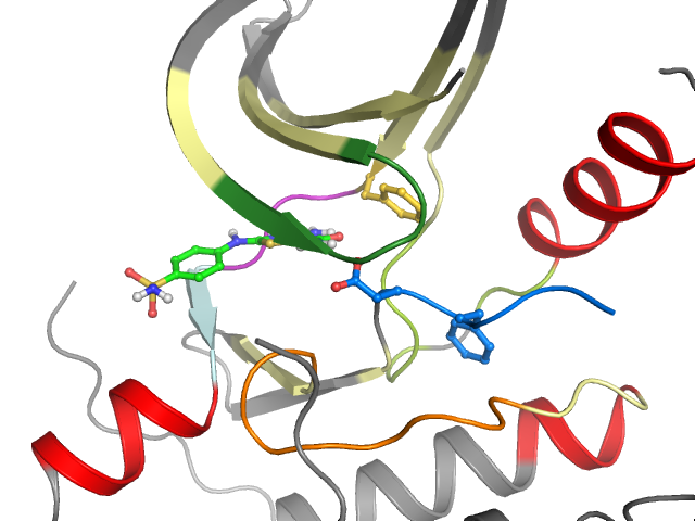The orthosteric binding pocket