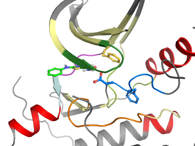 The orthosteric binding pocket