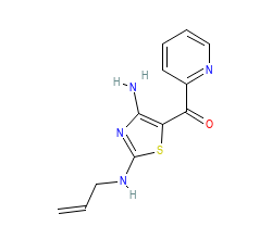 2D structure of the orthosteric ligand