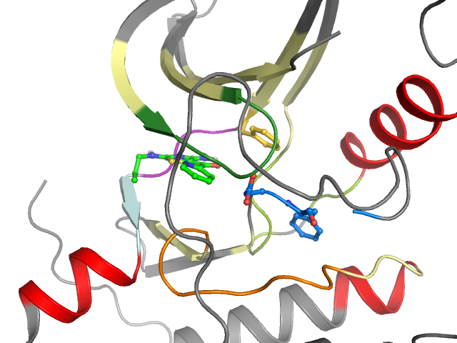The orthosteric binding pocket
