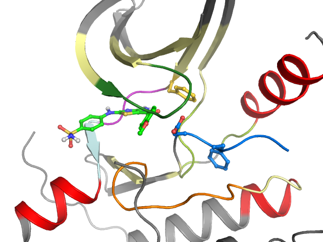 The orthosteric binding pocket
