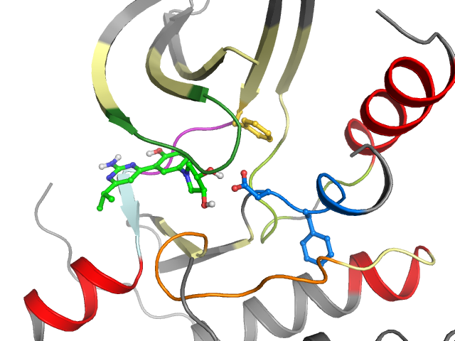 The orthosteric binding pocket