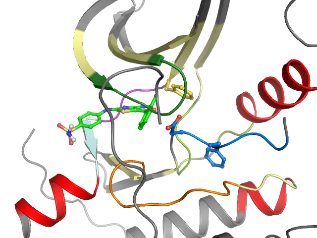 The orthosteric binding pocket