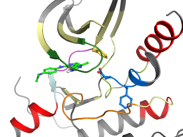 The orthosteric binding pocket