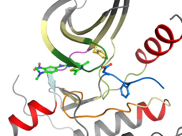 The orthosteric binding pocket