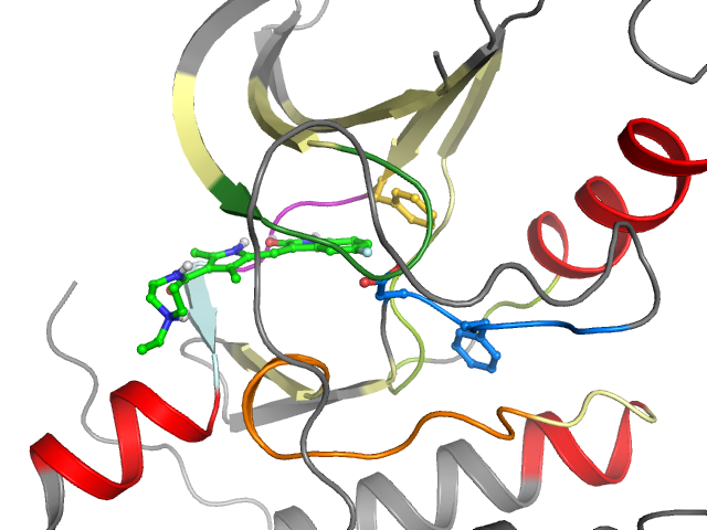 The orthosteric binding pocket