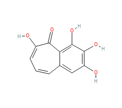 2D structure of the orthosteric ligand