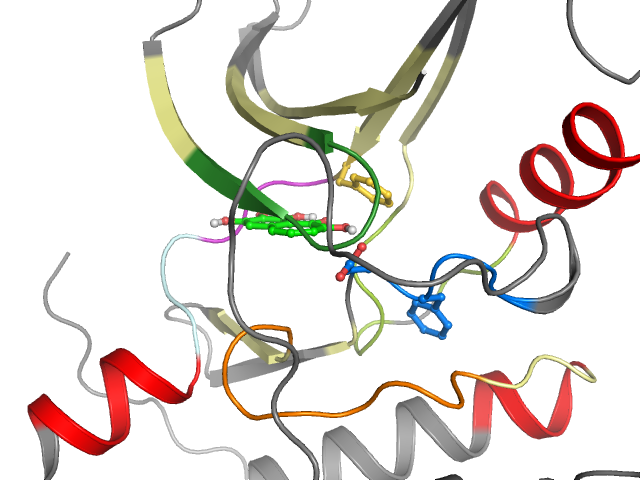 The orthosteric binding pocket
