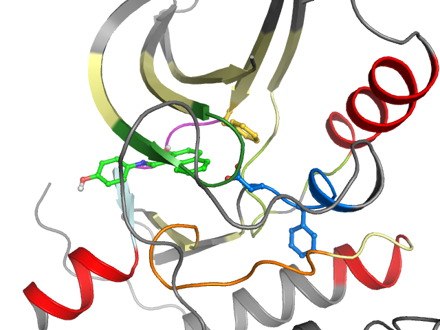 The orthosteric binding pocket