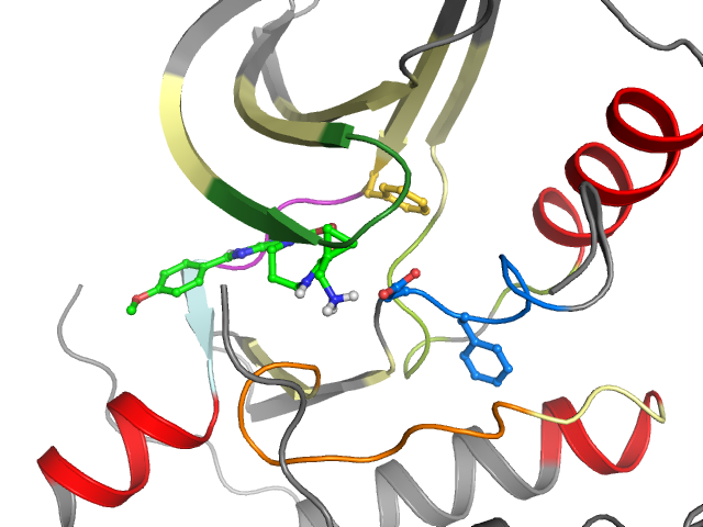 The orthosteric binding pocket