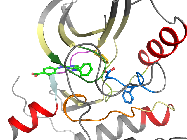 The orthosteric binding pocket