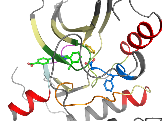 The orthosteric binding pocket
