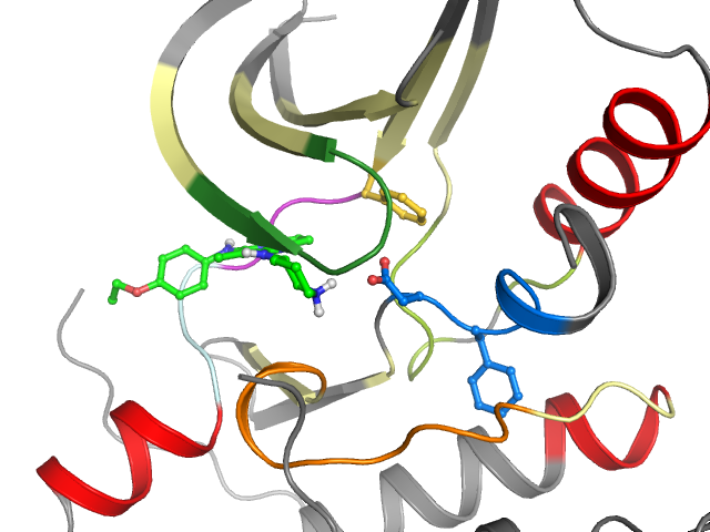 The orthosteric binding pocket