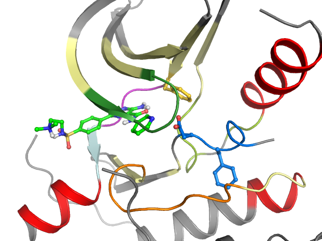 The orthosteric binding pocket