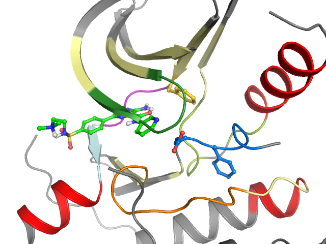 The orthosteric binding pocket