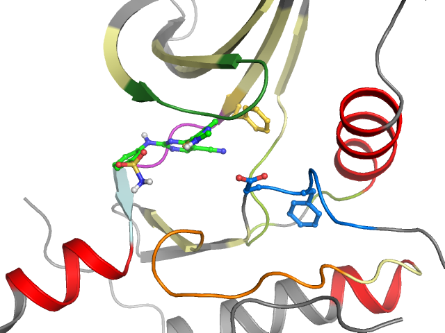 The orthosteric binding pocket
