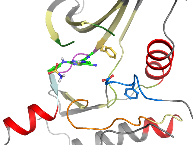 The orthosteric binding pocket