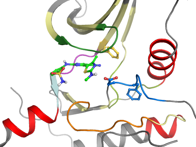 The orthosteric binding pocket