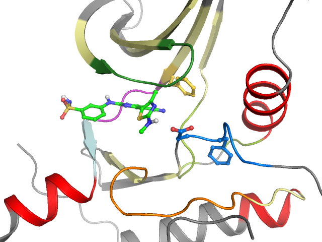 The orthosteric binding pocket