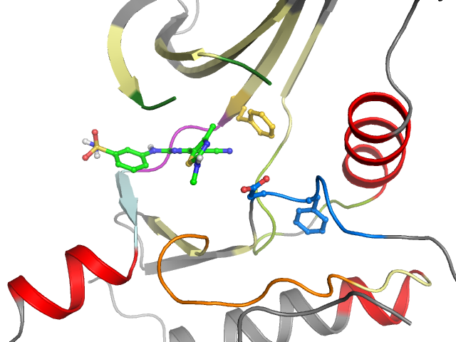 The orthosteric binding pocket