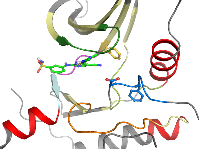 The orthosteric binding pocket