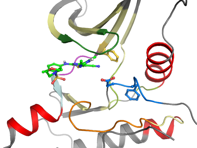 The orthosteric binding pocket