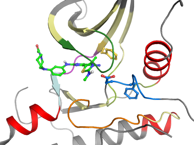 The orthosteric binding pocket