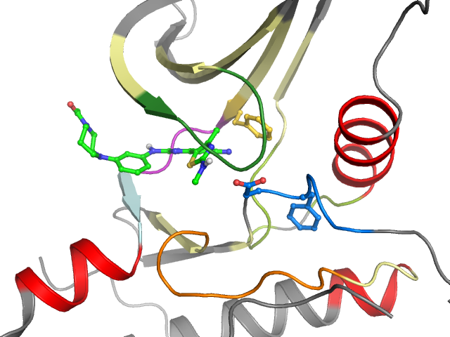 The orthosteric binding pocket