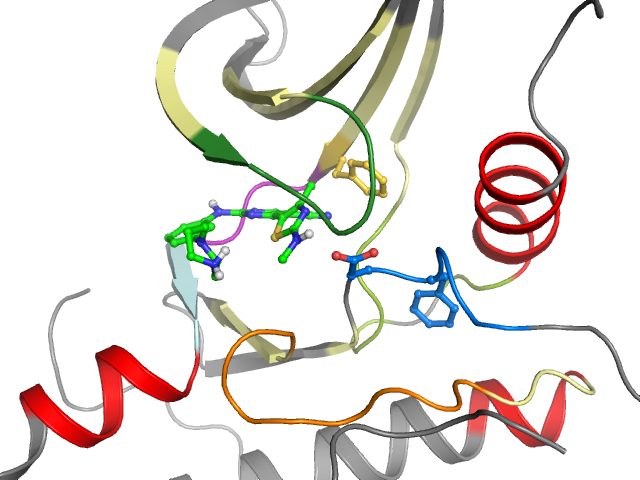 The orthosteric binding pocket