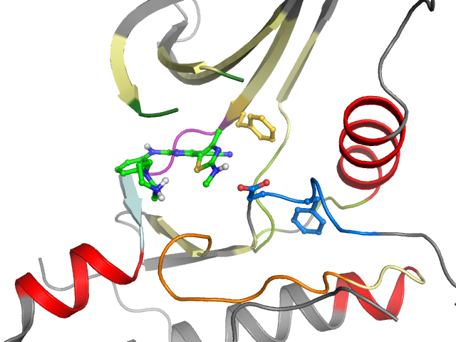 The orthosteric binding pocket